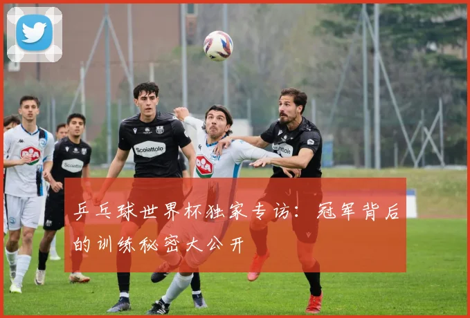乒乓球世界杯独家专访：冠军背后的训练秘密大公开