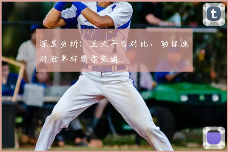 深度分析：五大平台对比，助你选对世界杯购票渠道