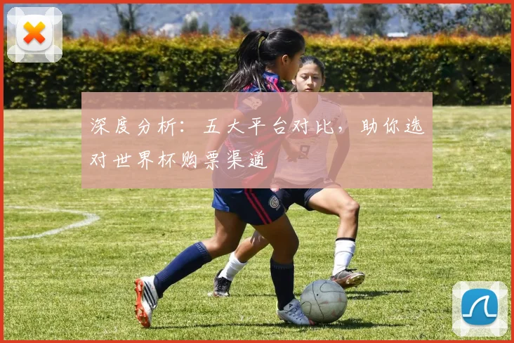 深度分析:五大平台对比,助你选对世界杯购票渠道