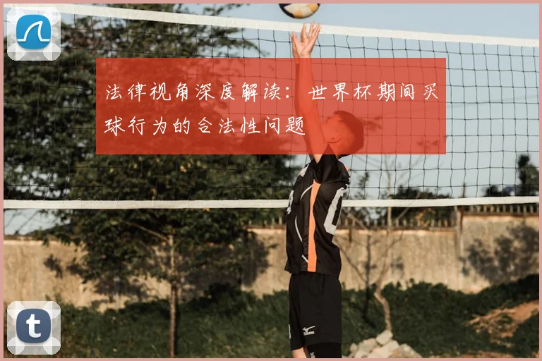 法律视角深度解读：世界杯期间买球行为的合法性问题